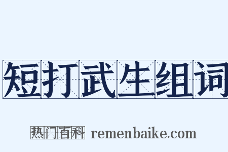 短打武生组词是什么意思的图片
